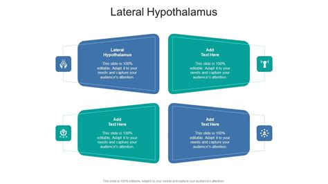 Lateral Hypothalamus In Powerpoint And Google Slides Cpb