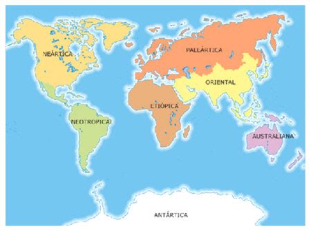 Las siete regiones biogeográficas