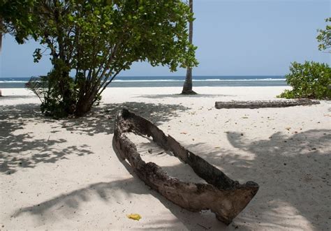 Best Things To Do In Diani Kenya Goats On The Road