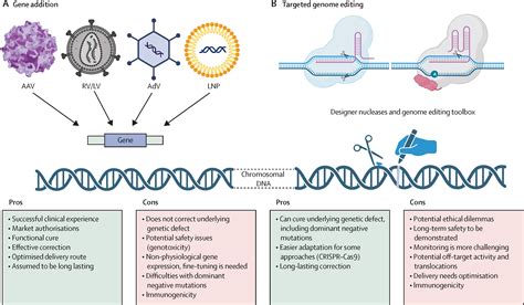 A New Age Of Precision Gene Therapy The Lancet