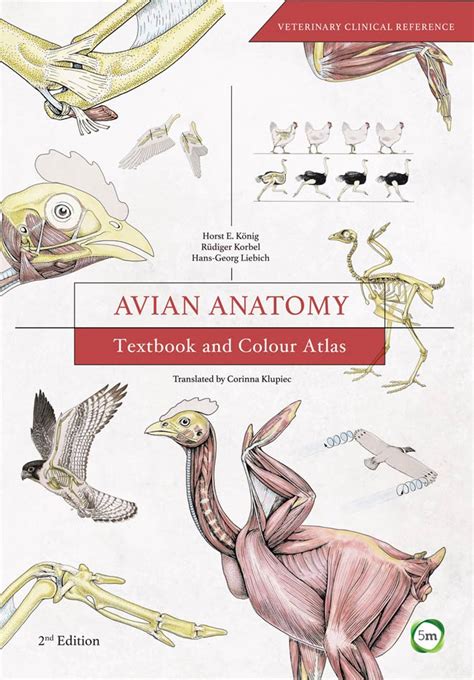 Avian Anatomy: Textbook and Colour Atlas, 2nd Edition | VetBooks