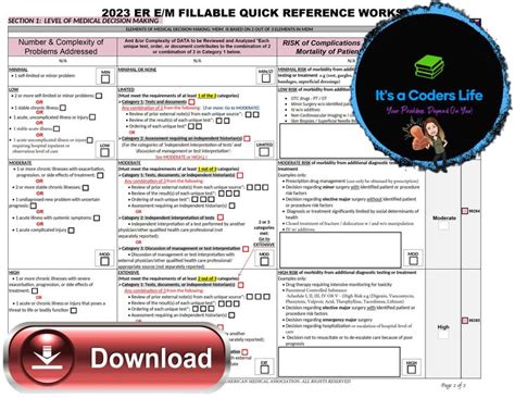 Ama Fillable Pdf Emergency Room E M Audit Tool Improve Data Input