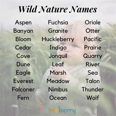 106 Wild Nature Names Nature Names Cat Names Names