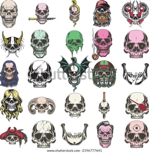 Handdrawn Anatomical Skulls Vector Set Stock Vector Royalty Free