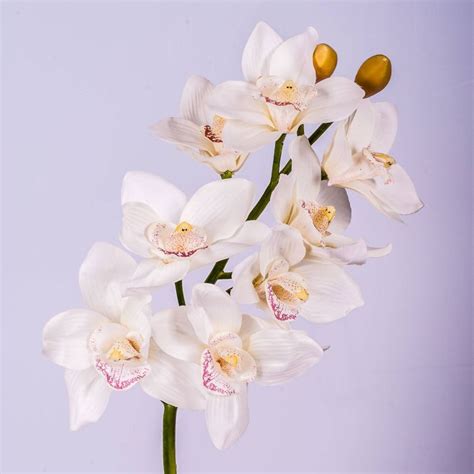 Acheter des Tige d orchidée Cymbidium artificielle FEONA blanc 60cm