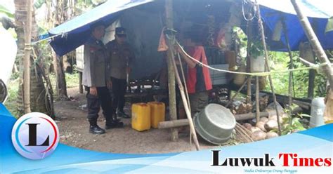 Polisi Geledah Kebun Tempat Penyimpanan Miras Di Pagimana Banggai