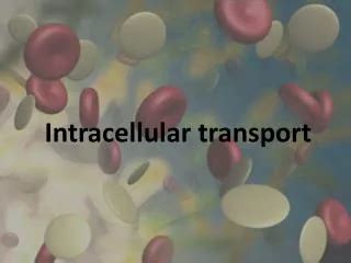 intracellular  extracellular concentrations powerpoint