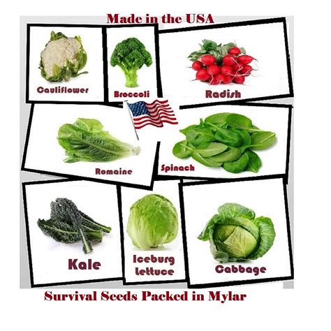 Heirloom Vegetable Seeds Full Size Seed Packs-non GMO Easy to Grow Variety of Vegetable Seeds ...