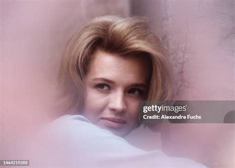 55 Angie Dickinson 1962 Stock Photos, High-Res Pictures, and Images ...