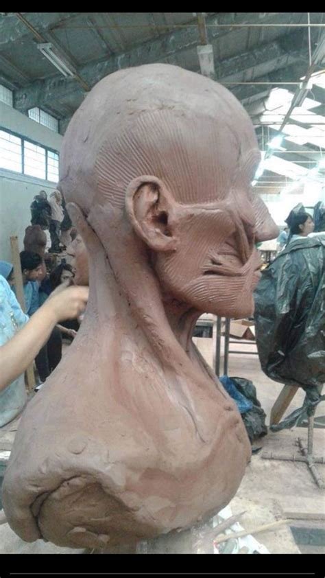 Anatomía humana músculos busto modelado en arcilla escultura