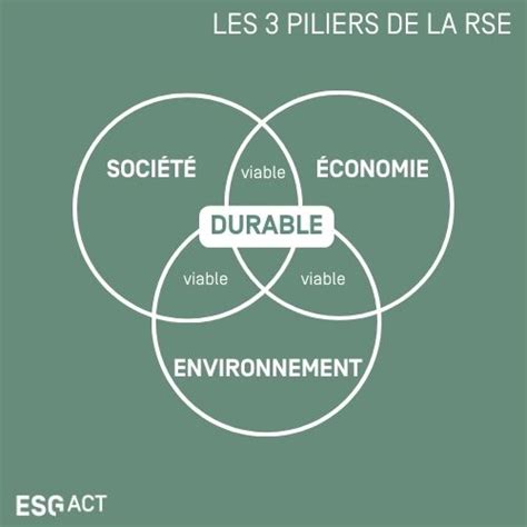 Rse Ou Qse Quelles Sont Les Différences