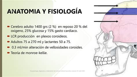 LesiÓn Cerebral TraumÁtica 1 Pptx