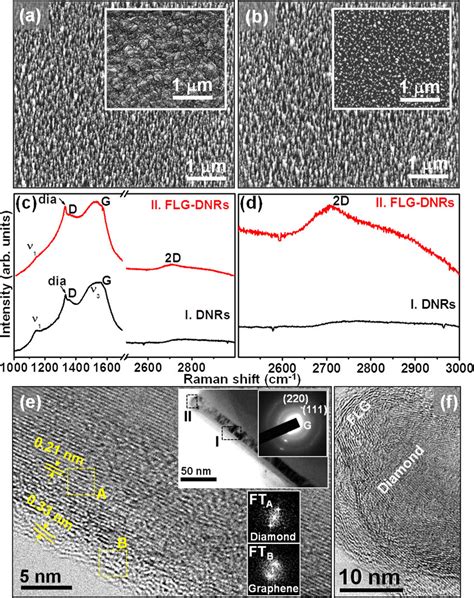 A Tilted View Sem Image Of Bare Dnrs Inset Shows The Sem Morphology