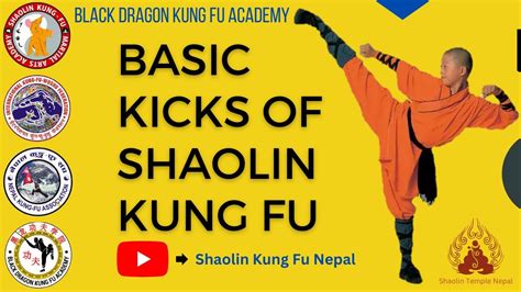 Basic Kicks Of Shaolin Kung Fu Training In Nepal Shaolin Kung Fu