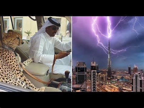 30 Bizarre Things Youd Only See In Dubai Oyfipo Videos Bizarre