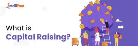 capital raising   types    raise intellipaat