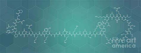 Vosoritide Achondroplasia Drug Molecule Photograph By Molekuul Science