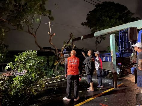 海葵狂風吹倒高雄路樹！ 橋頭區長、里長凌晨協處清理 引新聞