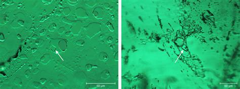 Three Phase Inclusions In Malipo Emeralds Shown In Brightfield