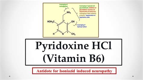 Pyridoxine Hcl Vitamin B6 Uses Antidote Effects Mechanism