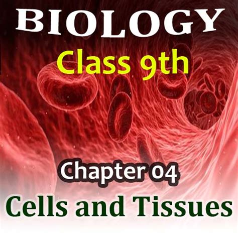 Cells And Tissues Biology Class 9th Mcqs