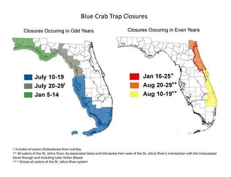 East coast blue crab trap closures start August 10 - Fishing Tackle ...