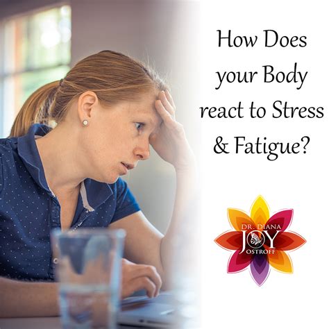 Stress, Fatigue and your Body - Dr. Diana Joy Ostroff