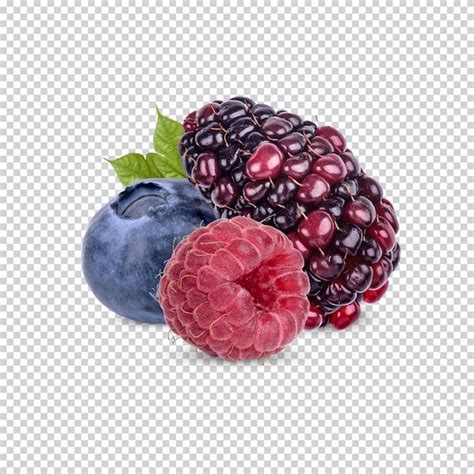 Premium PSD Ripe Fruits Blackberry Blueberry And Rasberry Help