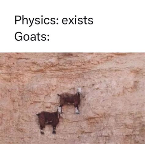 The best Goat memes :) Memedroid