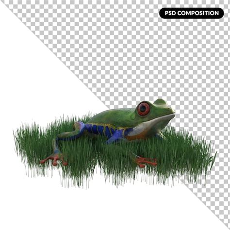 Premium Psd Frog Animal Isolated 3d