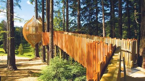 Redwoods Tree House, Auckland, New Zealand | Coolest Tree Houses ...