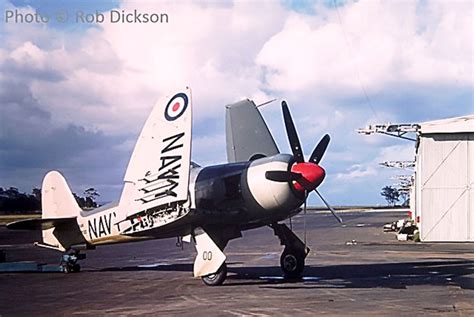 Hawker Sea Fury Vx730 Awm Warbird Warbirds Online