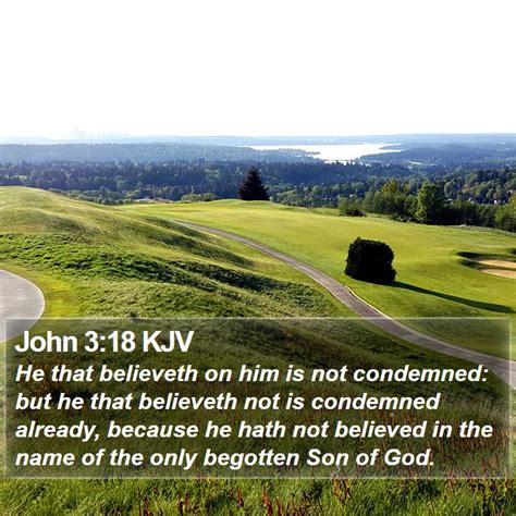 John 318 Kjv Bible Verse Images