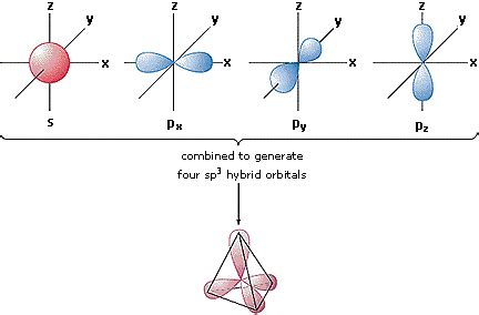 Oxygen's hybridization in H2O