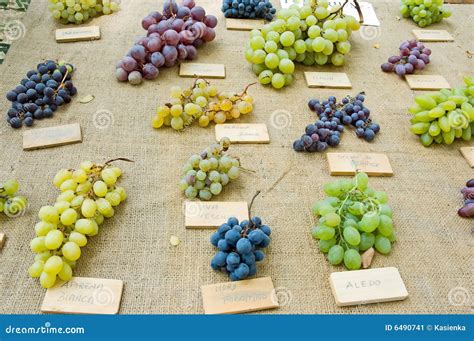 Grapes Different Kinds Stock Image Image Of Wood Object 6490741