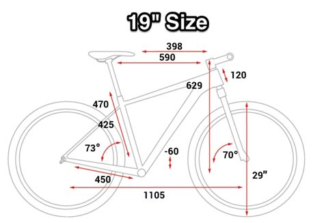 Sale How To Determine Size Of Bike Frame In Stock