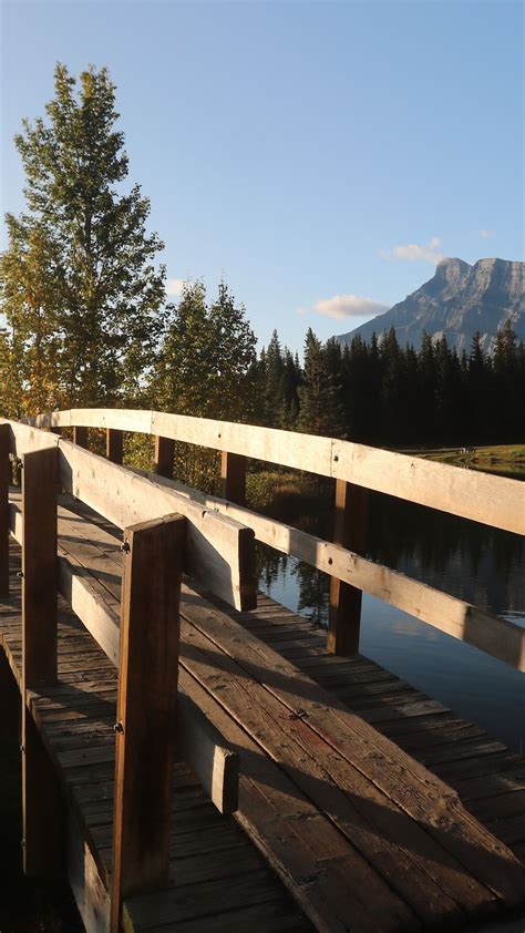 Bridge Over Tranquil Waters Backiee