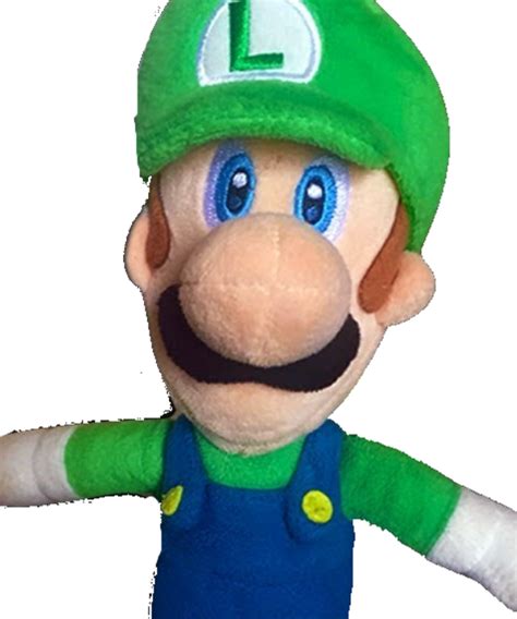 Luigi | CrazyMarioBros Wiki | Fandom