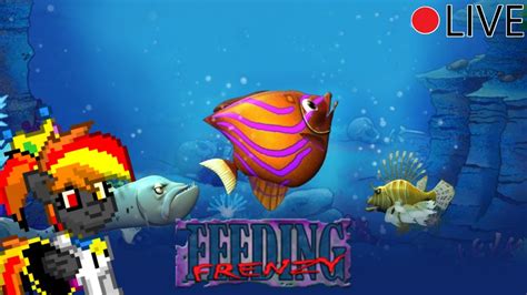 Feeding Frenzy 1 Longplay Youtube