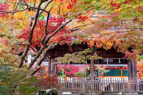 京都・亀岡 紅く染まる鍬山神社 京を歩けば。