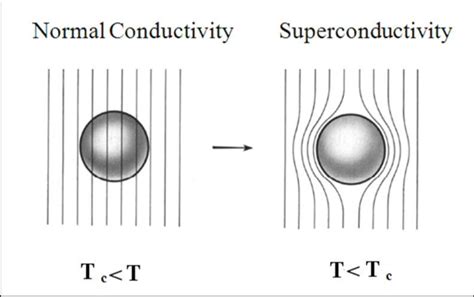 5 Normal And Superconducting State In The Magnetic Field 22