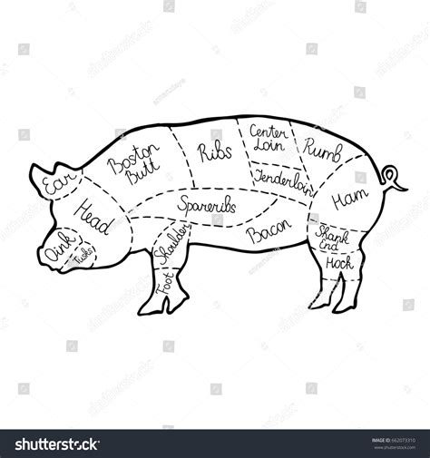 Cut Meat Set Poster Butcher Diagram Stock Vector (Royalty Free) 662073310