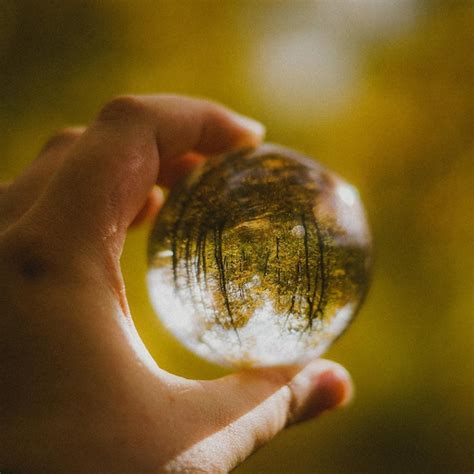 Premium Photo Cropped Hand Holding Crystal Ball