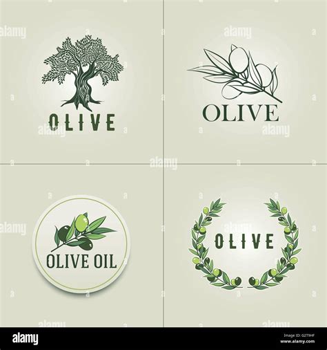 Various Olive logo design templates. Olive branch, olive tree and olive ...