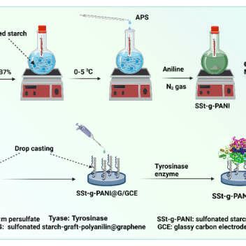 schematic illustration    copolymerization method