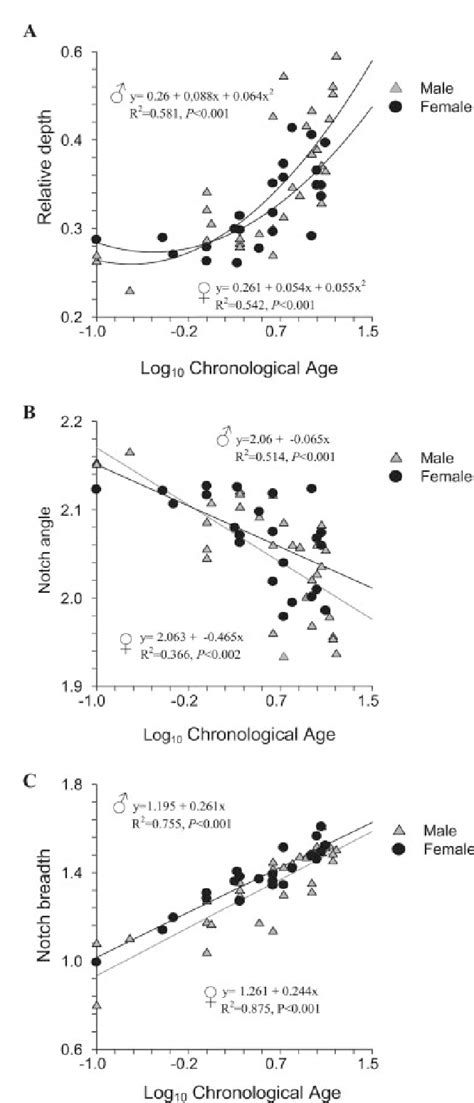 Figure 1 From Greater Sciatic Notch As A Sex Indicator In Juveniles