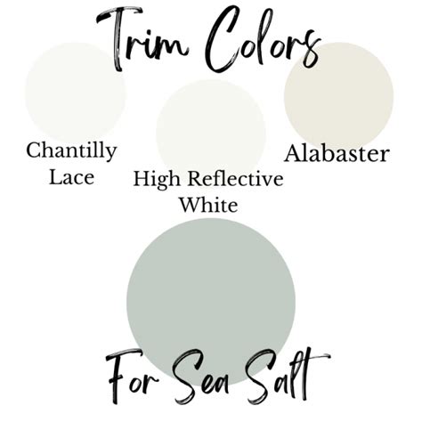 Sea Salt By Sherwin Williams Complete Review