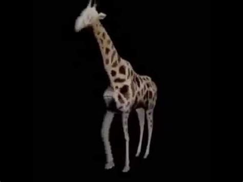 Butt Naked Nasty Giraffe Vine YouTube
