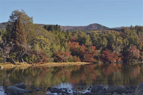 Fotos Gratis Paisaje Rbol Desierto Monta A Hoja Lago R O