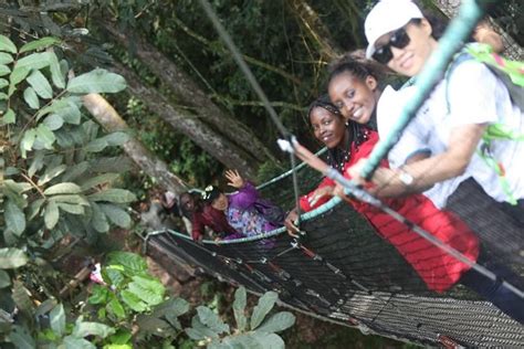 Nyungwe And Volcanoes National Parks Explore Rwanda S Largest